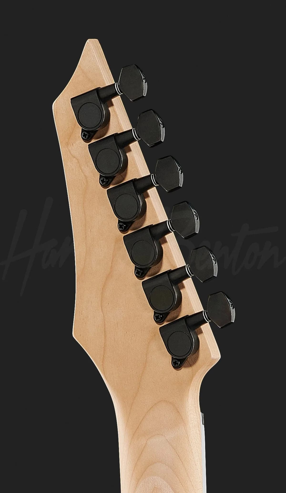 Harley Benton R-446 Blue Metallic — photo 7