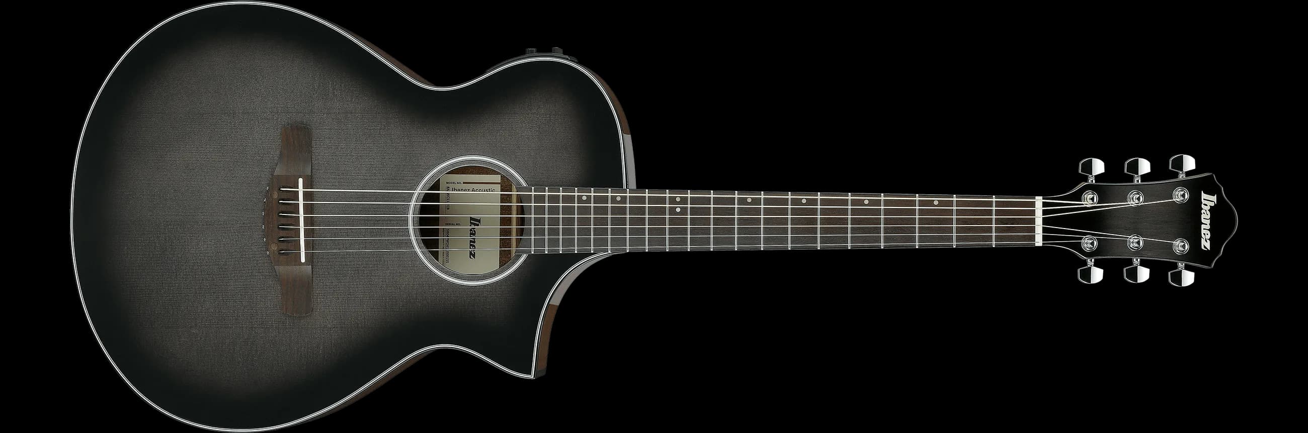 Ibanez AEWC11