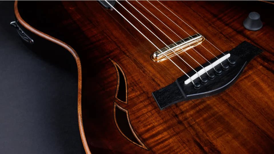 Taylor T5z Custom Koa — photo 7