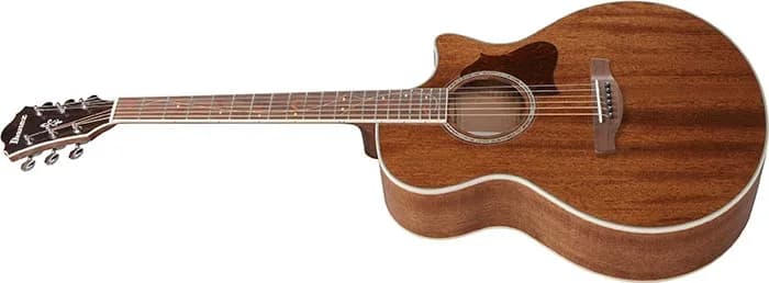 Ibanez AE245 — photo 4