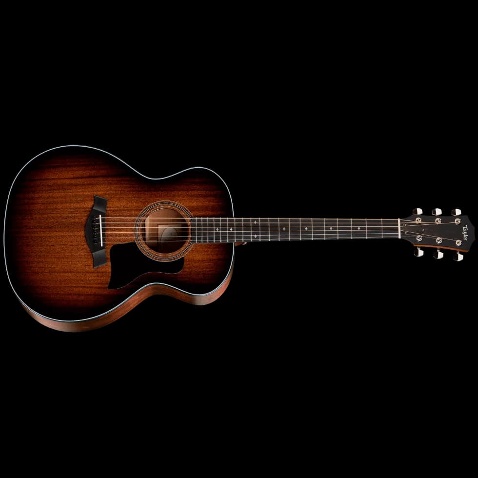 Taylor 324 — photo 3