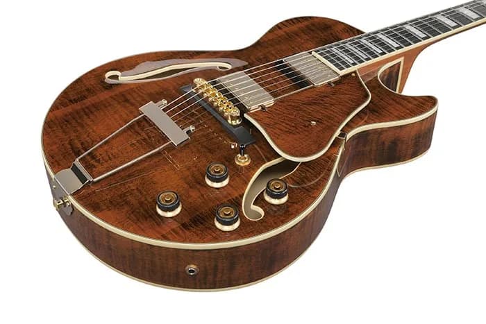 Ibanez AG95MG — photo 2
