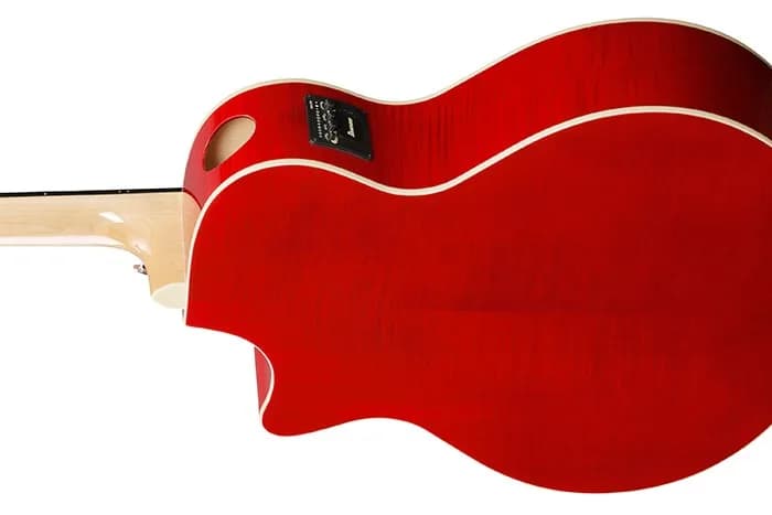 Ibanez AE170 — photo 6