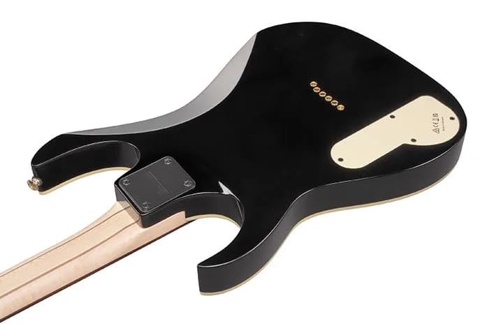 Ibanez PGM50 — photo 3