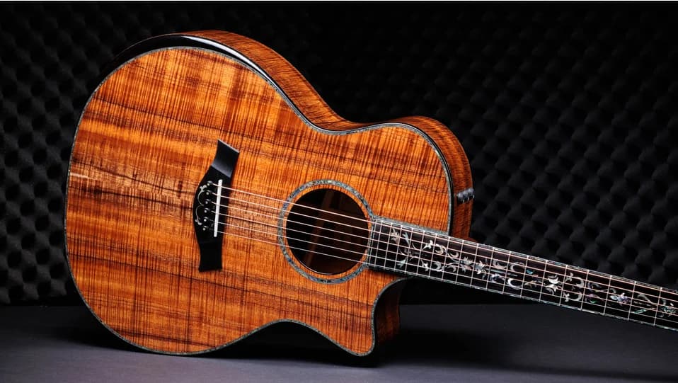 Taylor 50th Anniversary PS24ce LTD &amp; Circa 74 Amp — photo 5