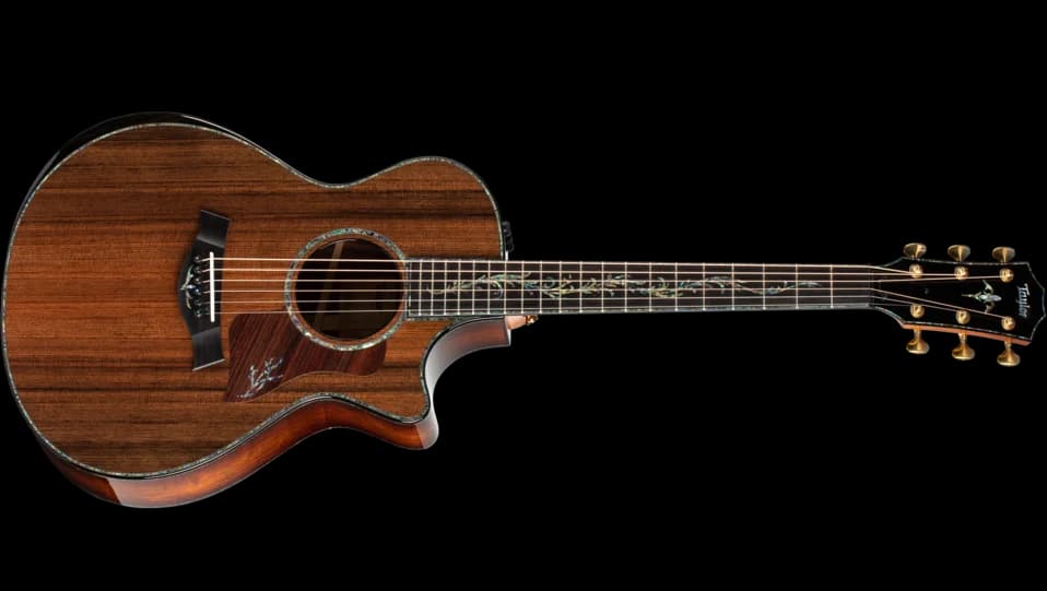 Taylor PS12ce Honduran Rosewood