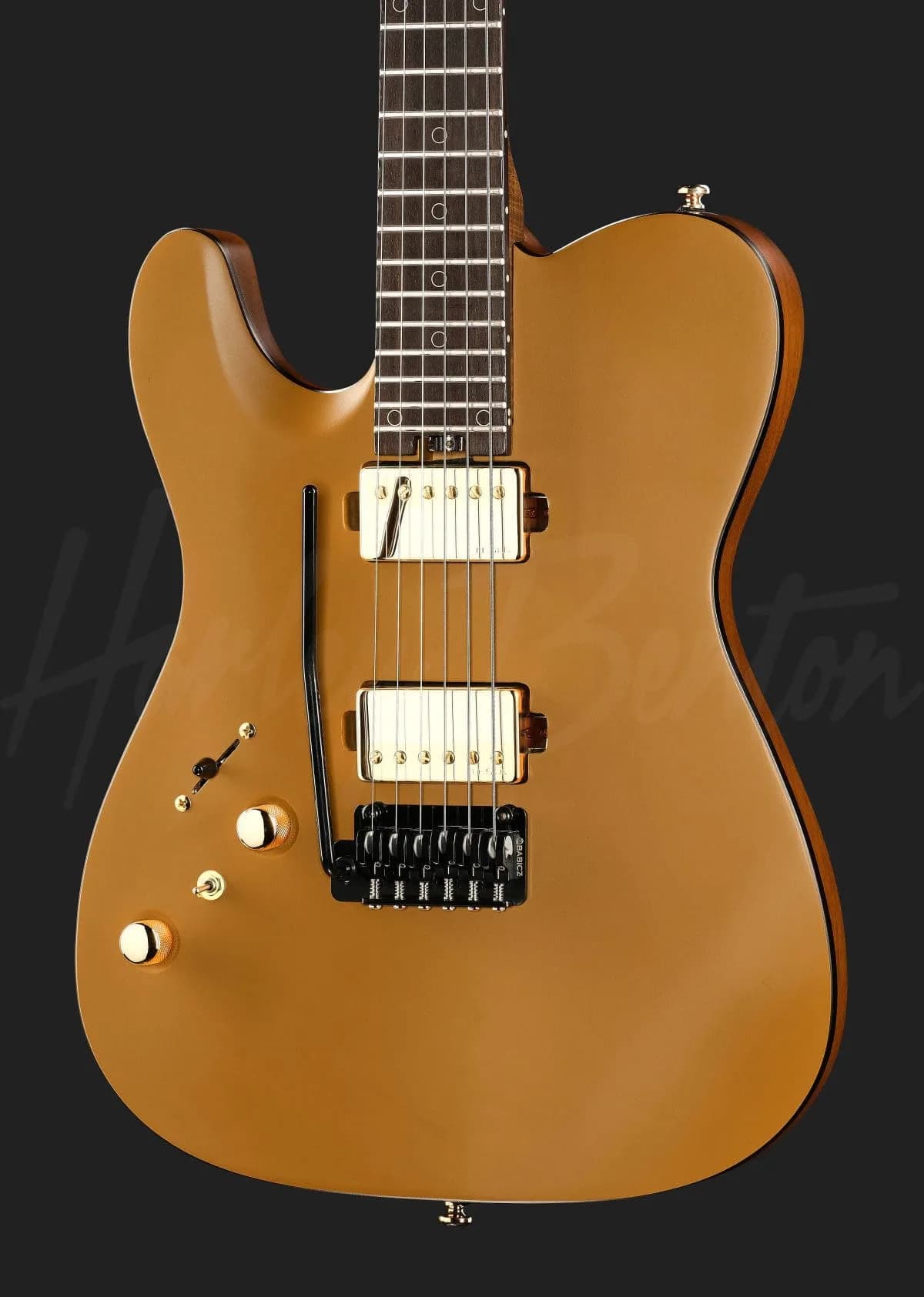 Harley Benton Fusion-T II HH LH RW SGD — photo 4
