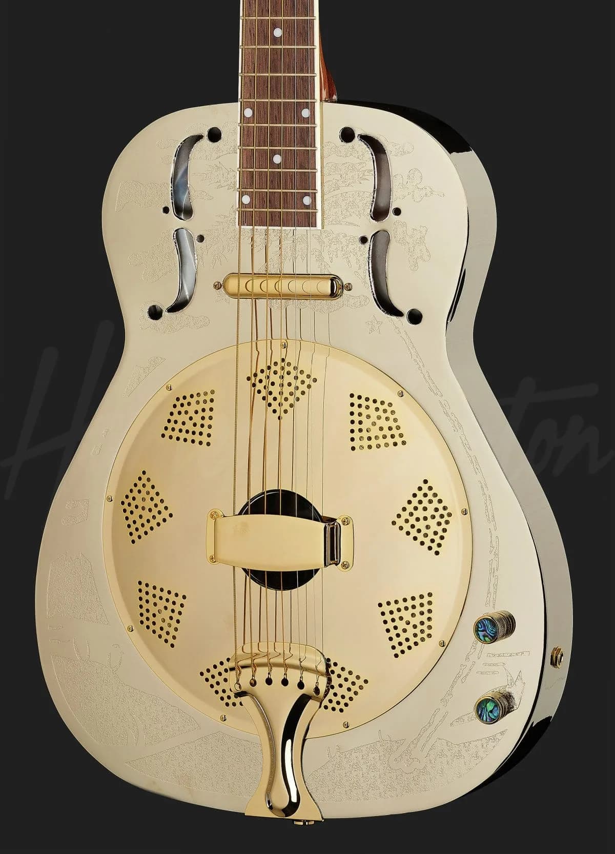 Harley Benton CLR-ResoElectric — photo 4