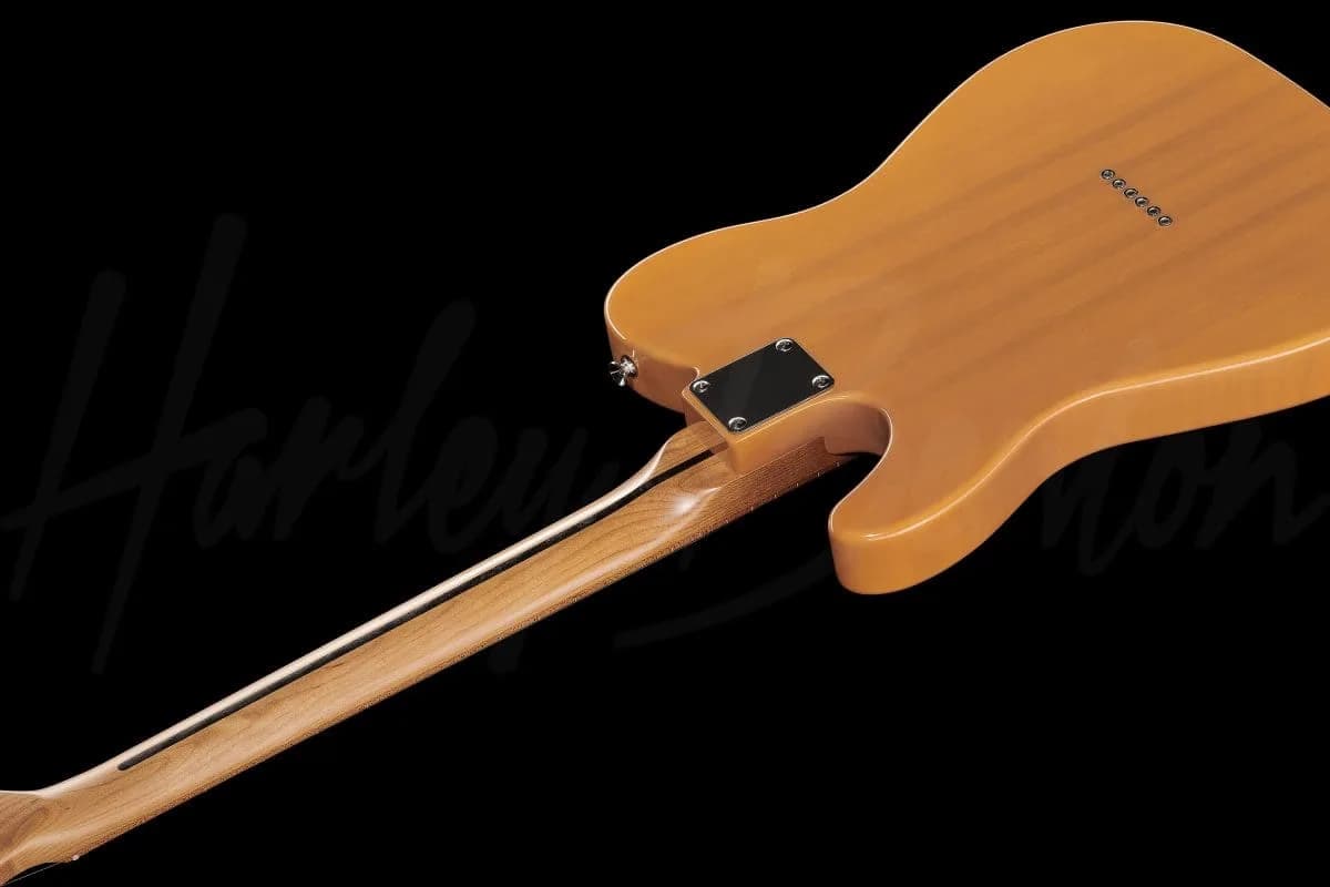 Harley Benton TE-53KR BL — photo 8