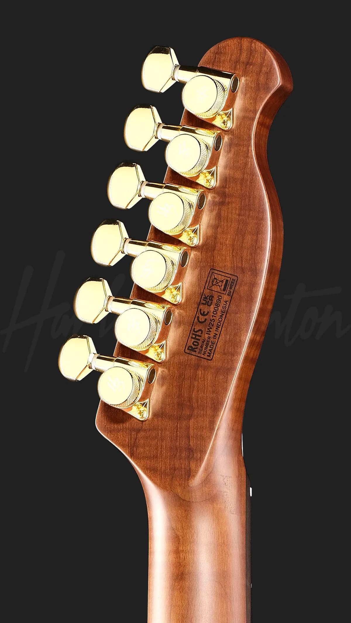 Harley Benton Fusion-T II HH LH RW SGD — photo 7