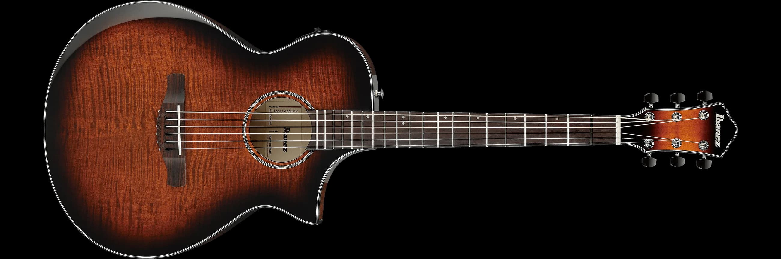 Ibanez AEWC400 — photo 2