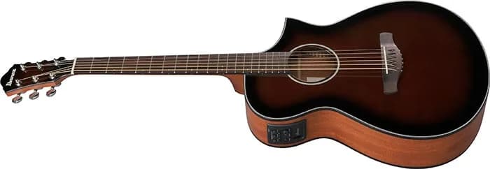 Ibanez AEWC11 — photo 8