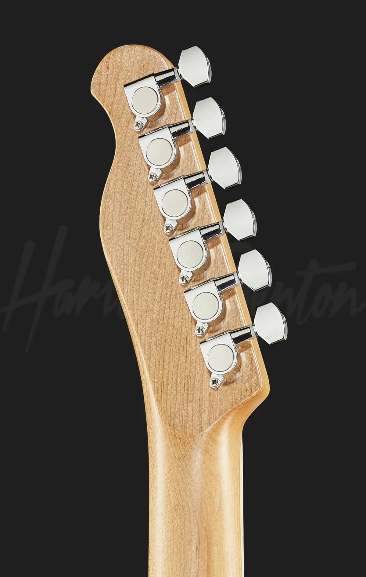 Harley Benton TE-20MN CA — photo 7