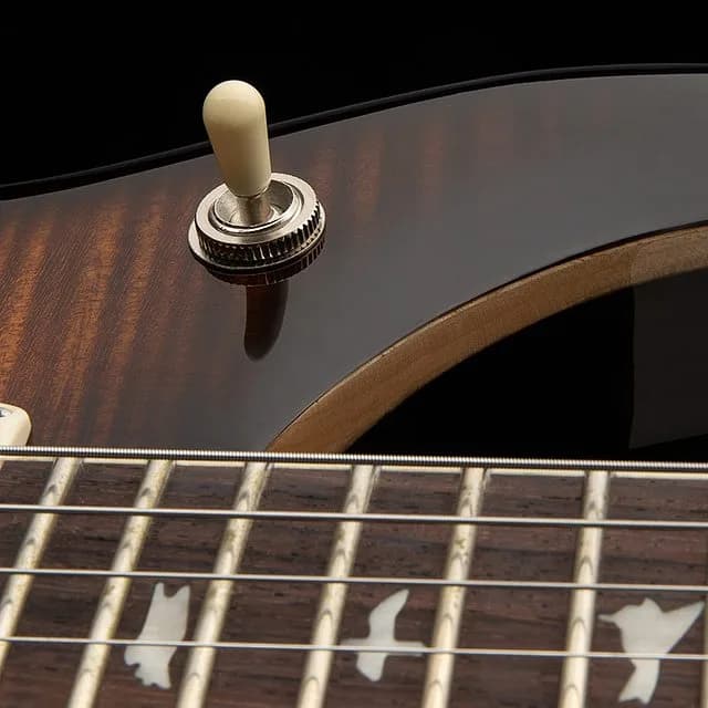 PRS SE McCarty 594 — photo 6