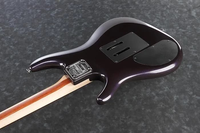 Ibanez JS2450 — photo 3