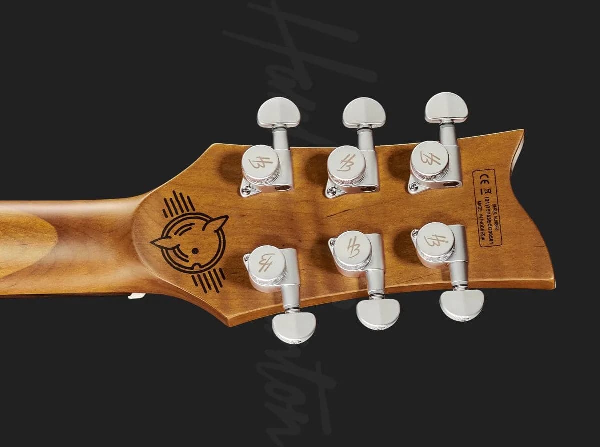 Harley Benton Agufish Custom Signature BT PB LTD — photo 7