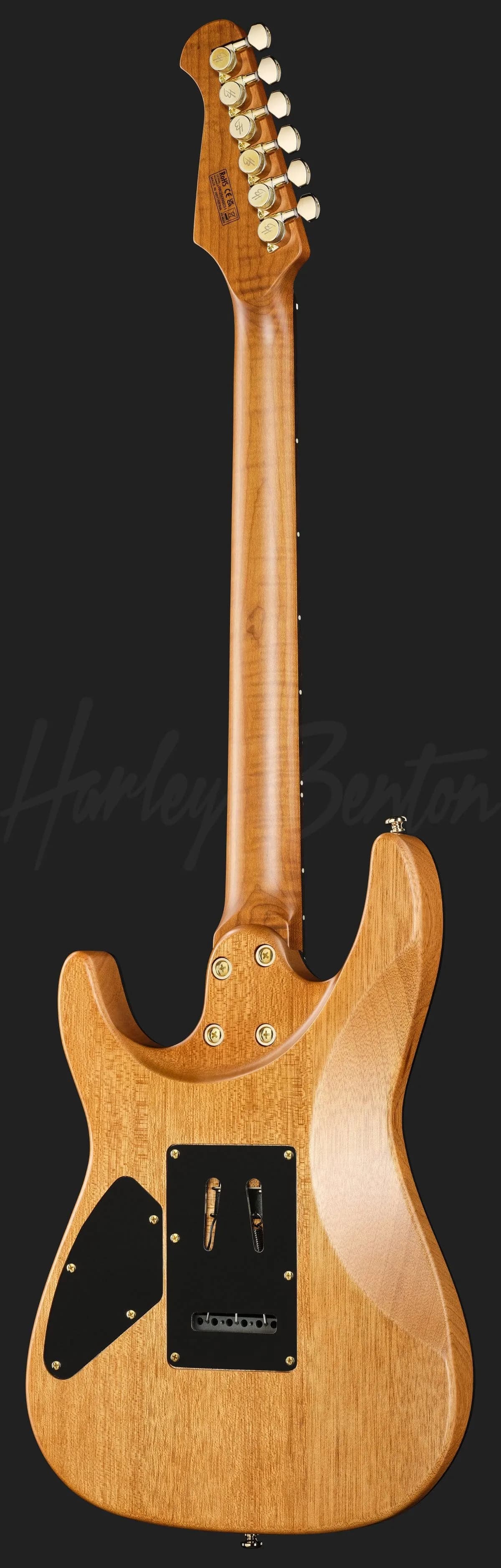 Harley Benton Fusion-IV HSS RW SGD — photo 3