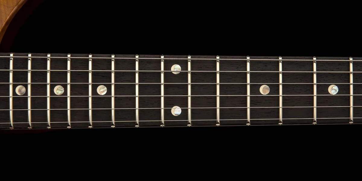 PRS DGT Semi-Hollow Limited Edition — photo 5