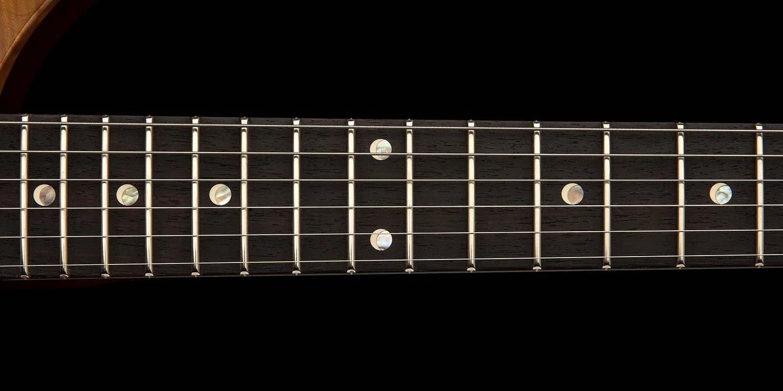 PRS DGT Semi-Hollow Limited Edition — photo 5
