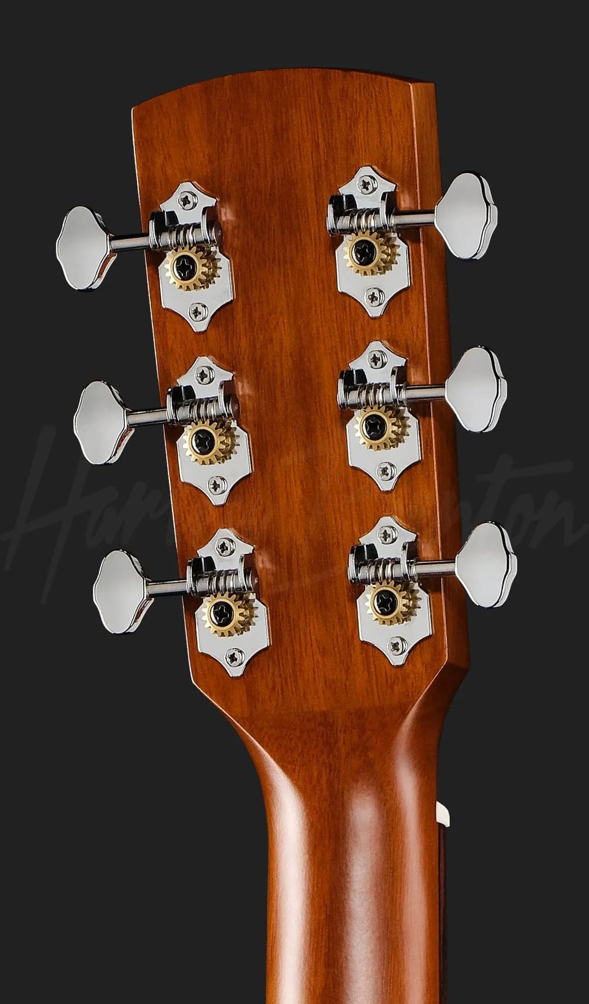 Harley Benton CLO-65AE NT — photo 6