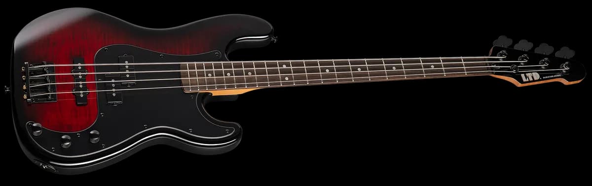 ESP SURVEYOR-204DX Red Burst — photo 3