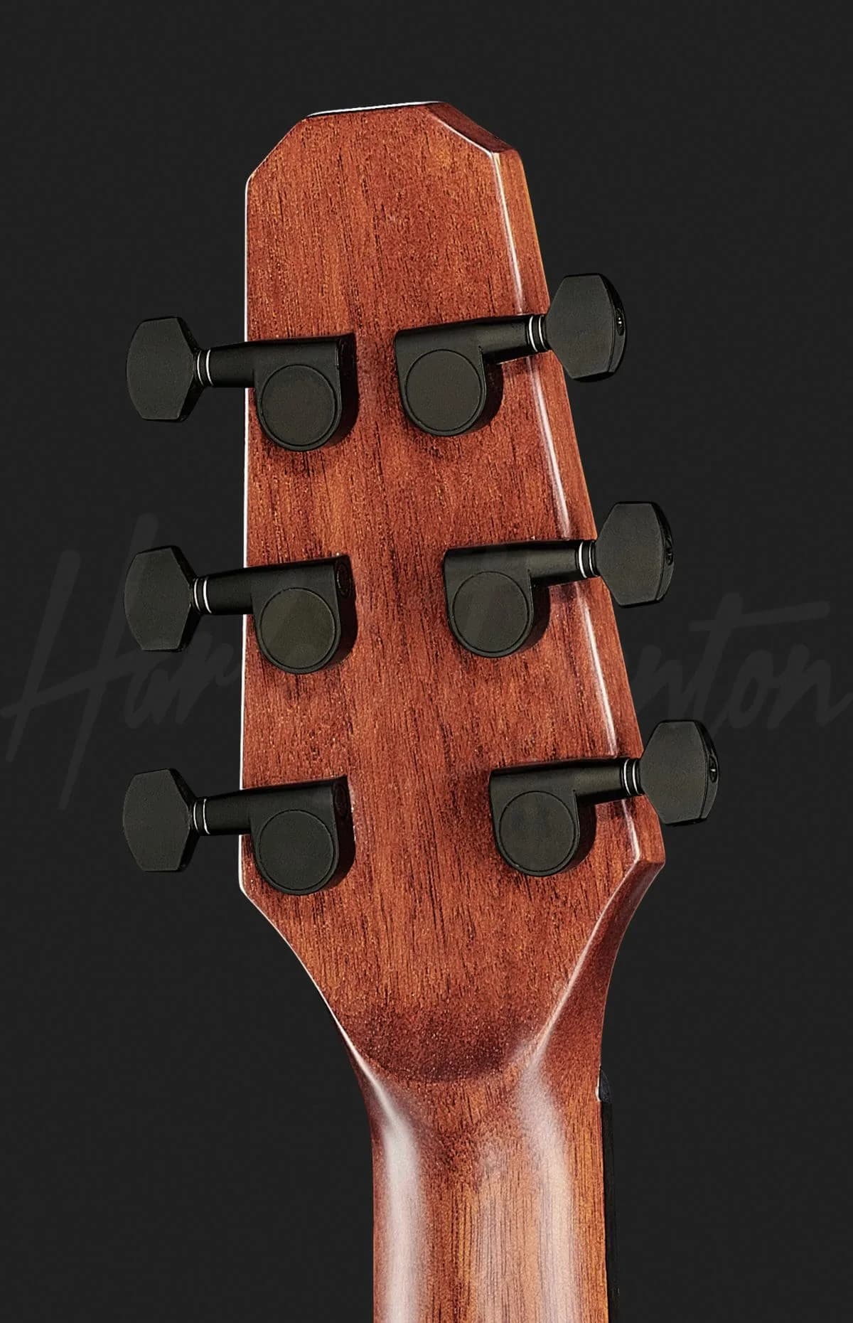Harley Benton GS-Travel-E Spruce — photo 7