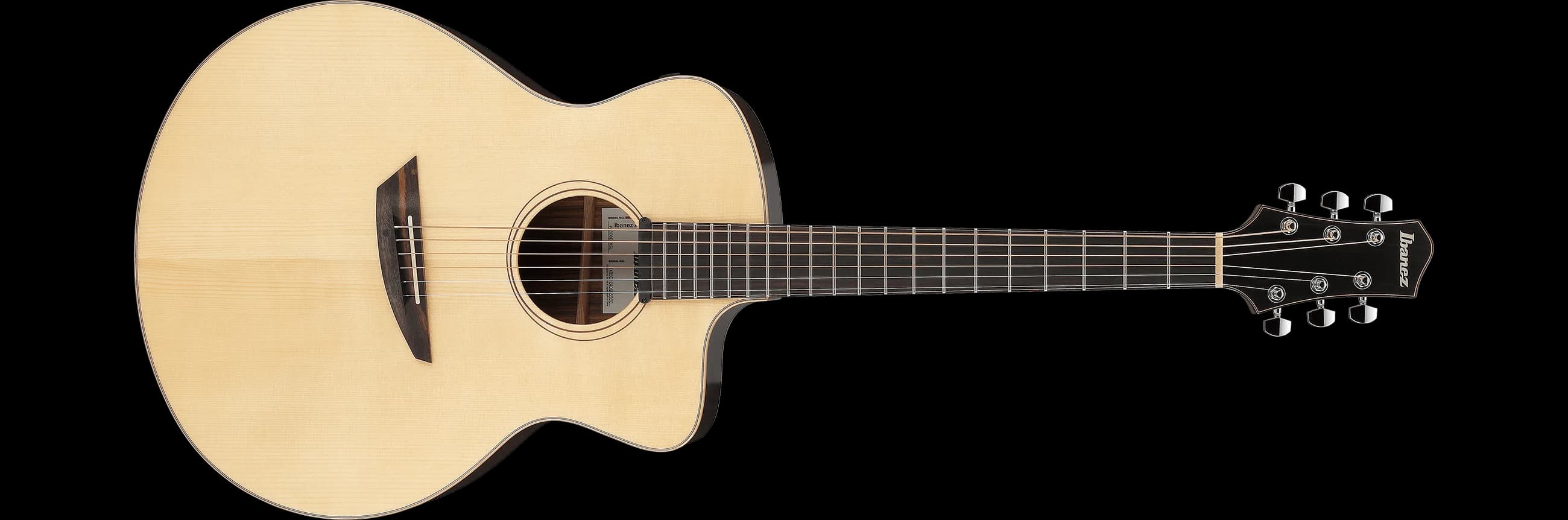 Ibanez PA300E