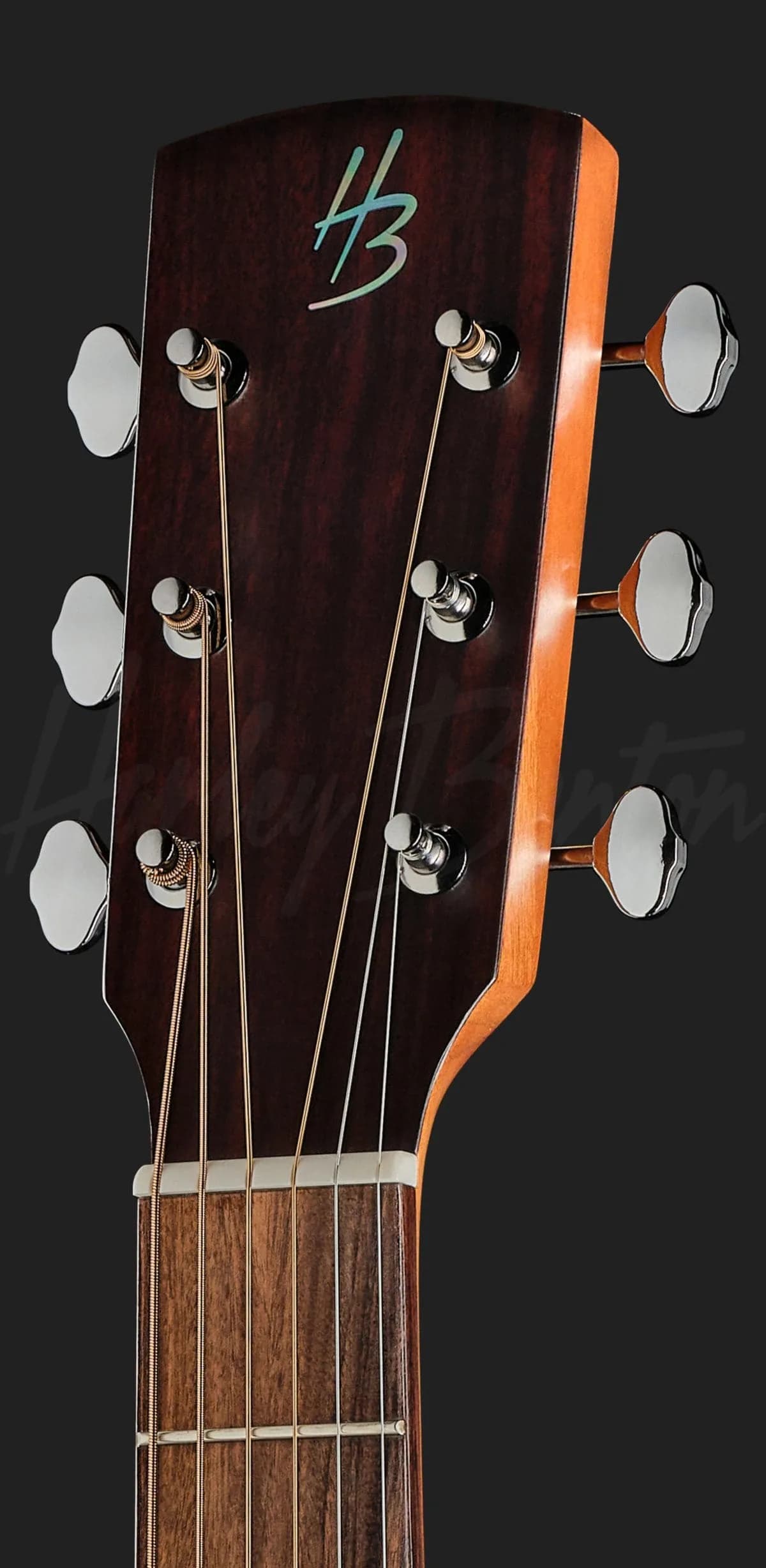 Harley Benton CLO-65ME NT — photo 6