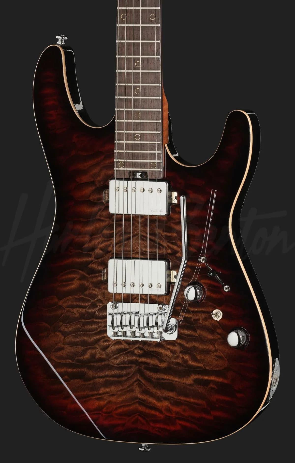 Harley Benton Fusion-IV HH RW QDG — photo 4