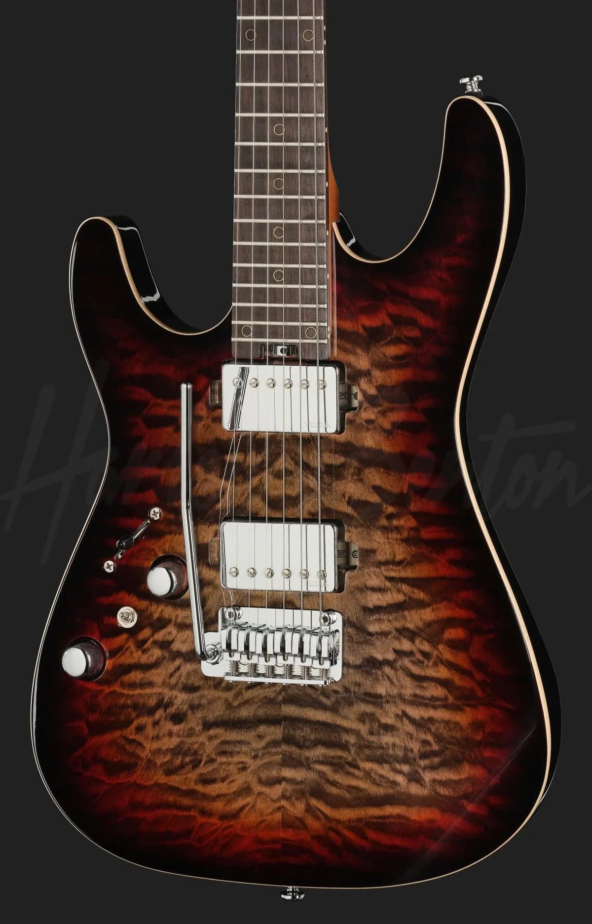 Harley Benton Fusion-IV HH LH RW QDG — photo 4