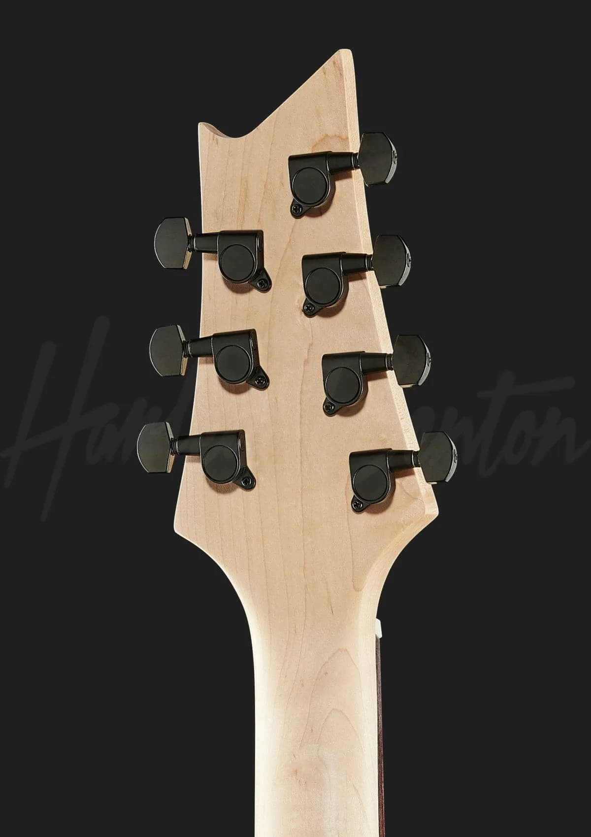 Harley Benton R-457BK MultiScale — photo 7