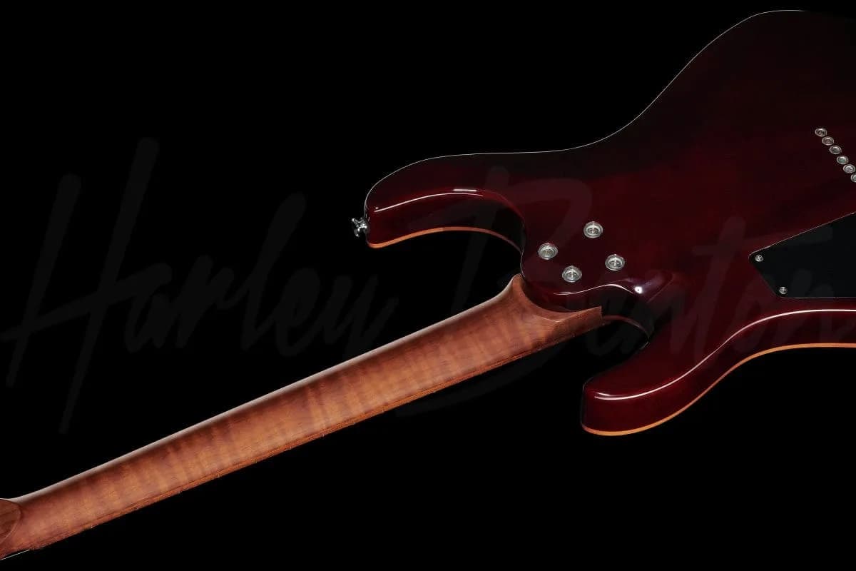 Harley Benton HP-42 Signature TT Roasted — photo 8