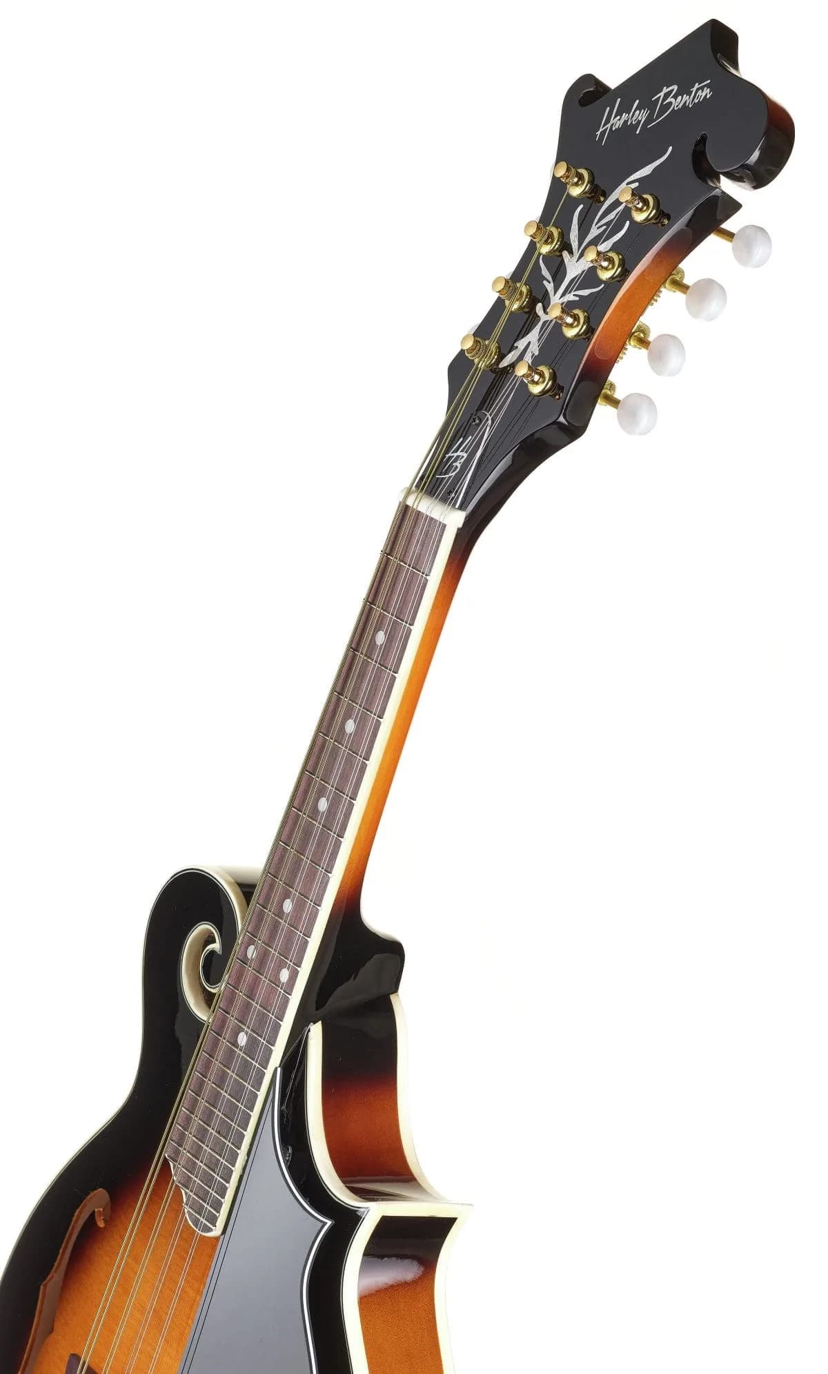 Harley Benton MA-100 VS — photo 8