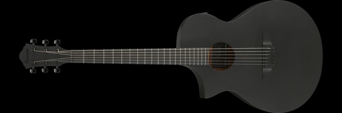 Ibanez AEWC621L