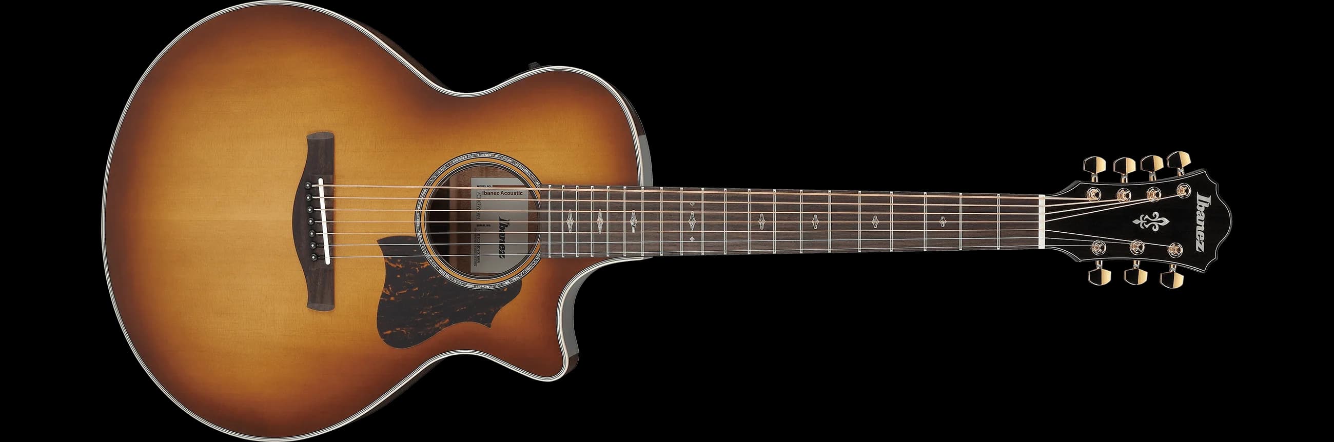 Ibanez AE3007FMH