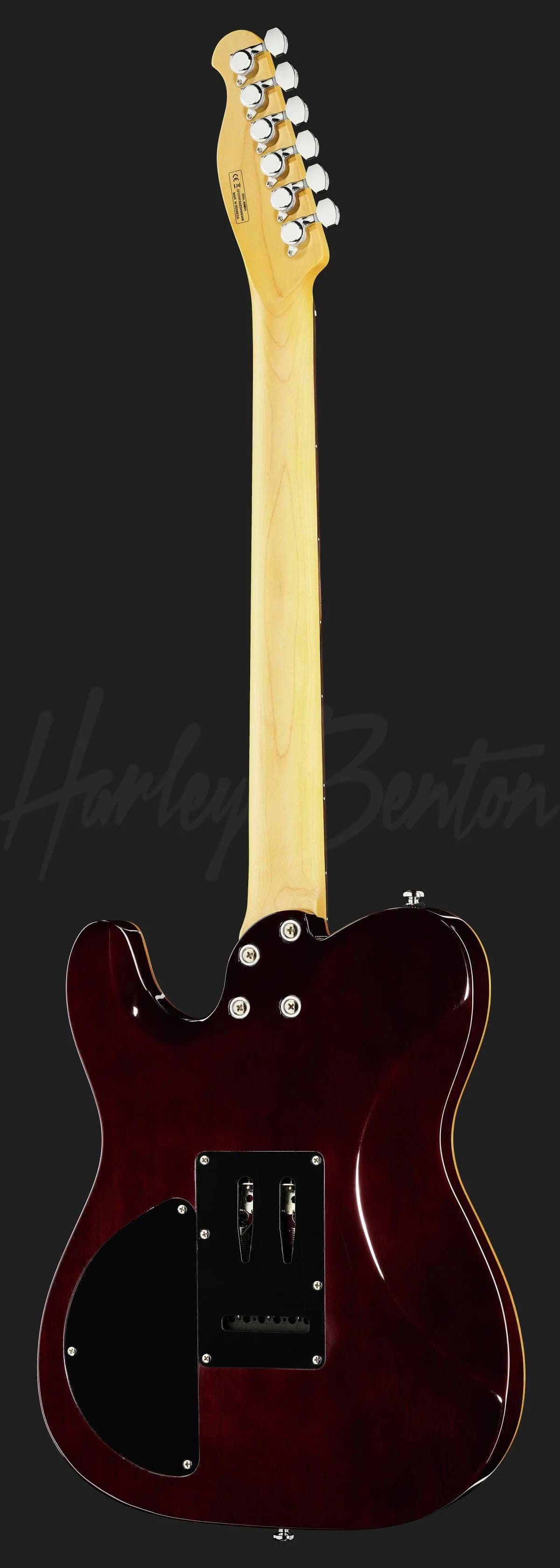 Harley Benton Fusion-T HH EB OCT — photo 3