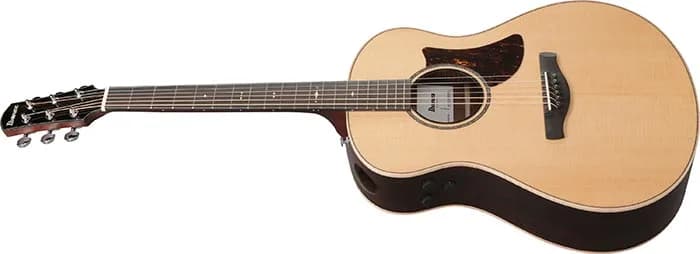 Ibanez AAM780E — photo 4