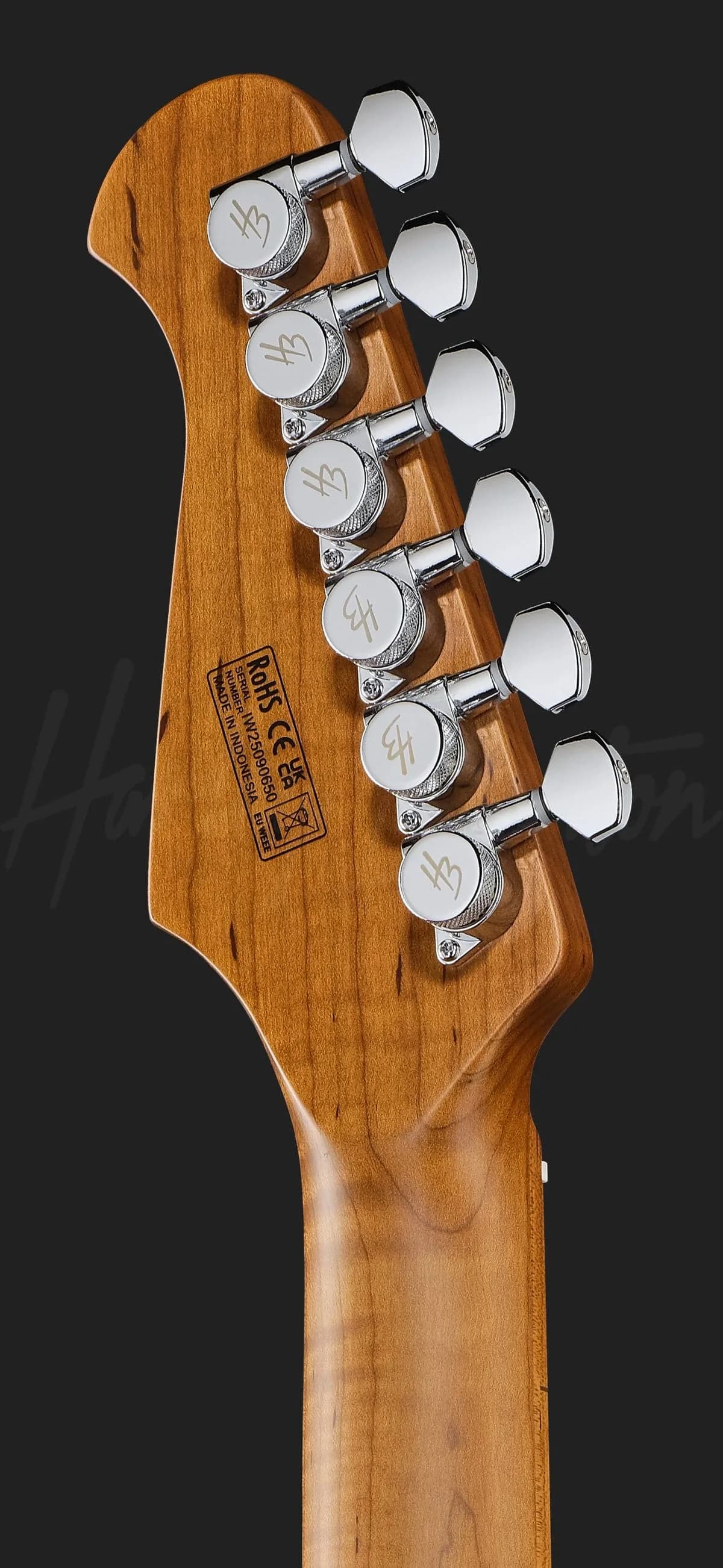 Harley Benton Fusion-IV HSS MN JM — photo 7