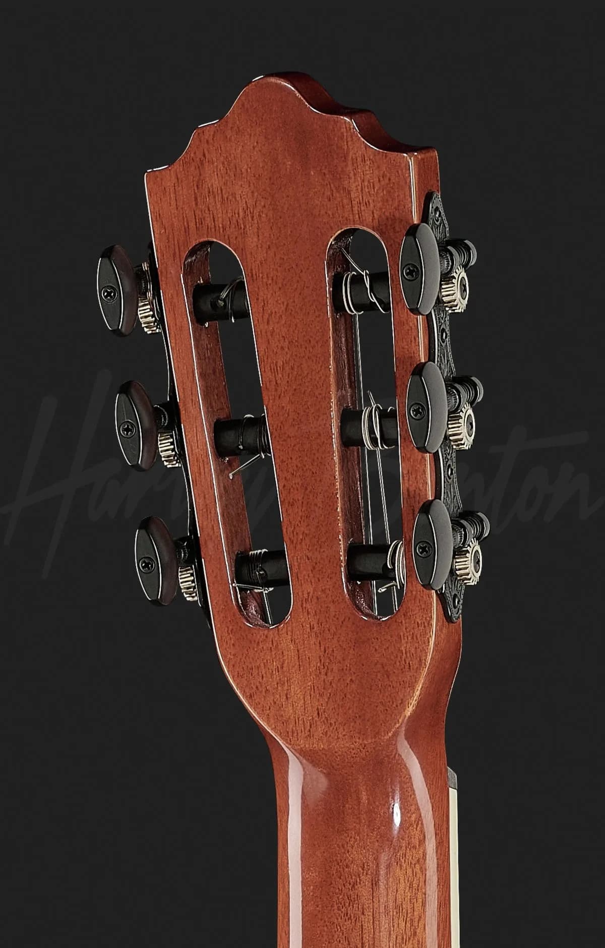Harley Benton Santos Series C-40SCE NT — photo 5