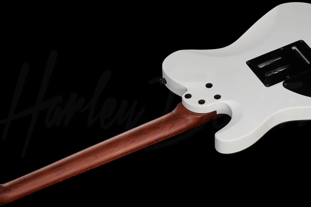 Harley Benton Fusion-T HH Roasted WM — photo 8