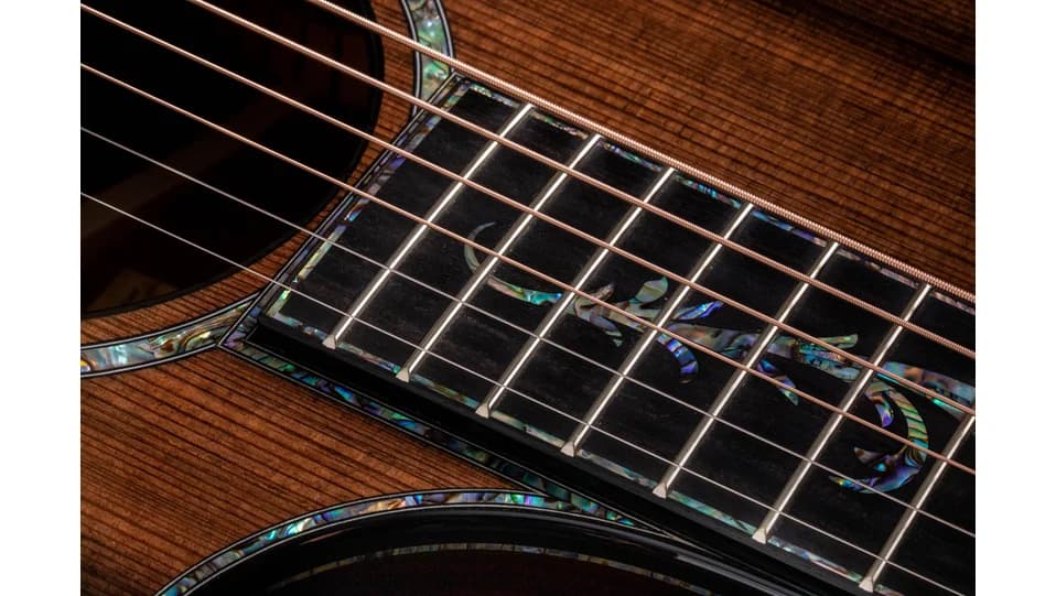 Taylor PS12ce Honduran Rosewood — photo 4