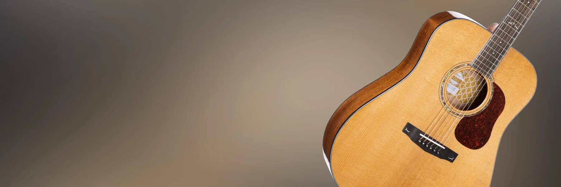 Cort Gold-D6