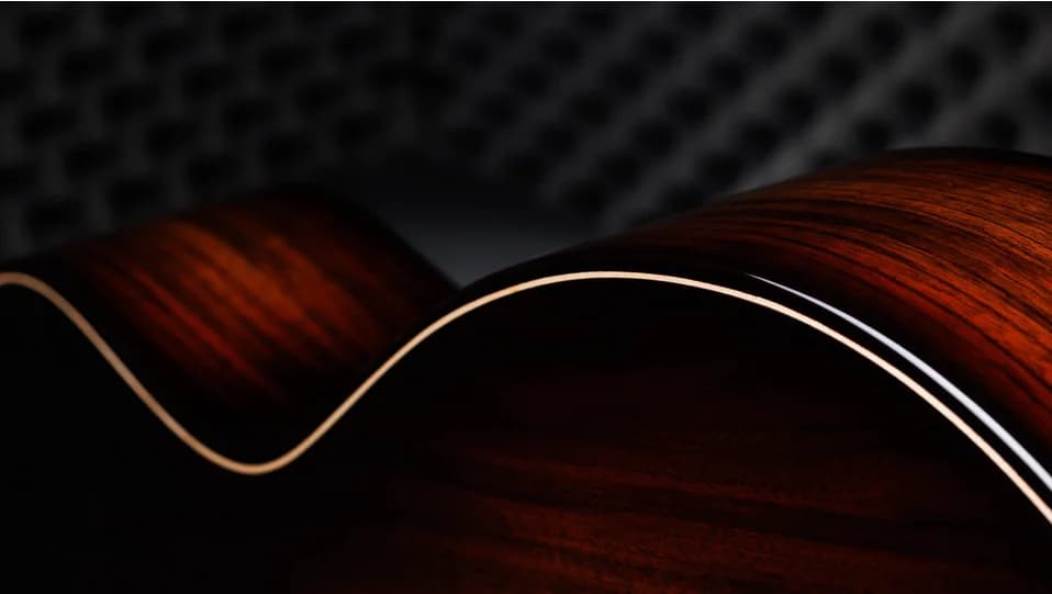 Taylor 50th Anniversary Builder's Edition 814ce LTD — photo 5