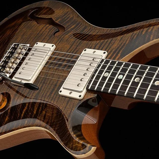 PRS DGT Semi-Hollow — photo 3