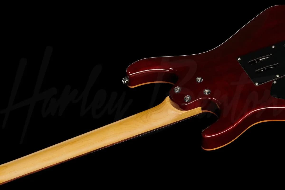 Harley Benton Fusion-III HH EB OCT — photo 8