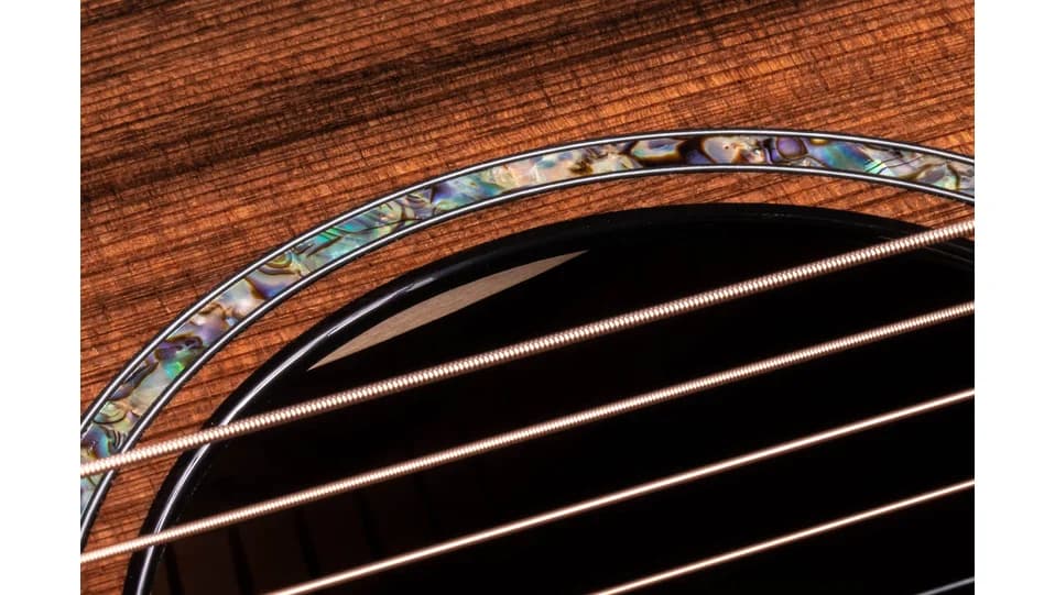 Taylor PS12ce Honduran Rosewood — photo 6
