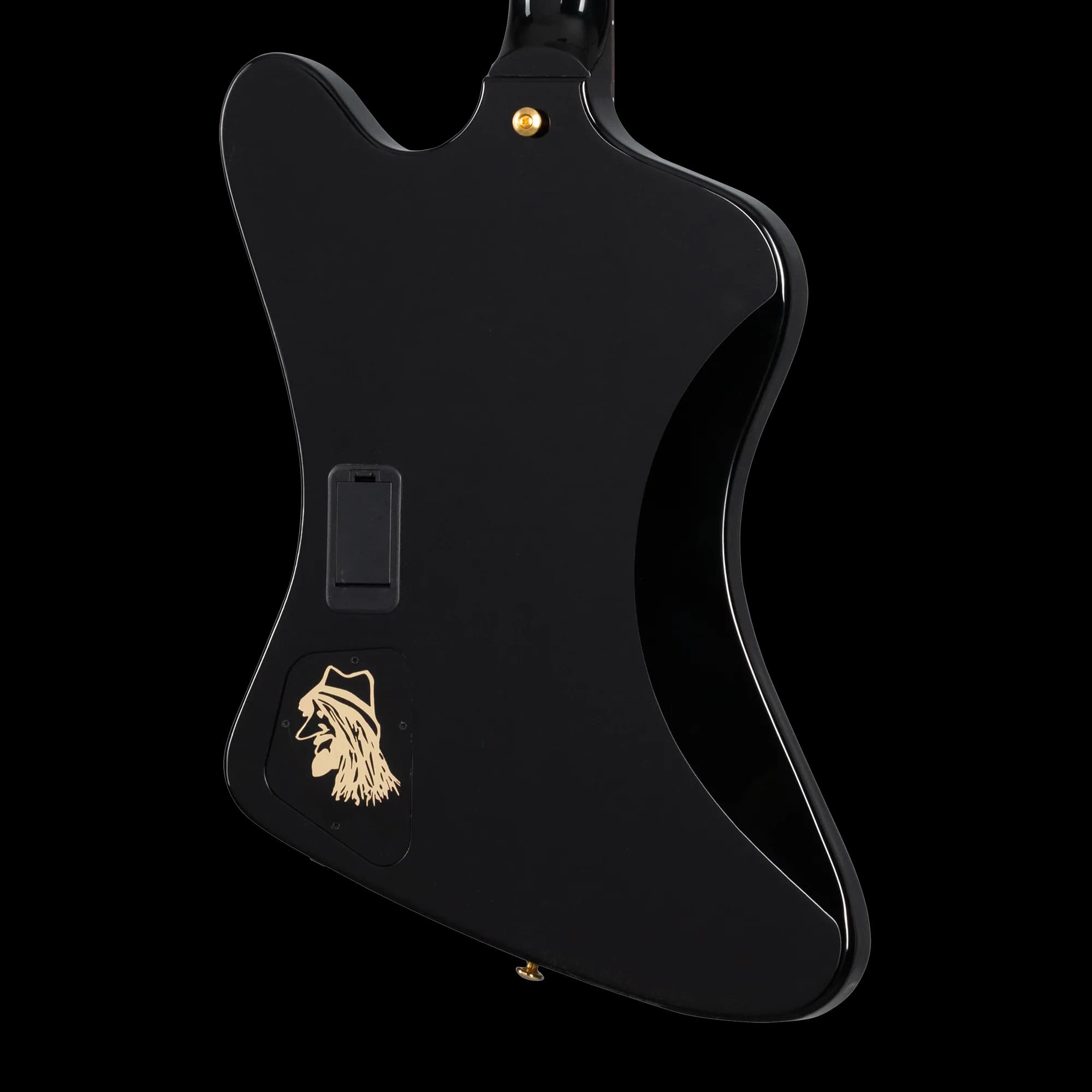 Gibson Rex Brown Signature Thunderbird, Ebony — photo 2