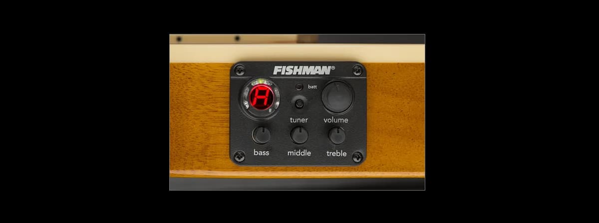 ESP TL-6N Natural — photo 4