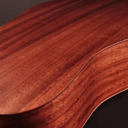 Cort Earth Bevel Cut — photo 4