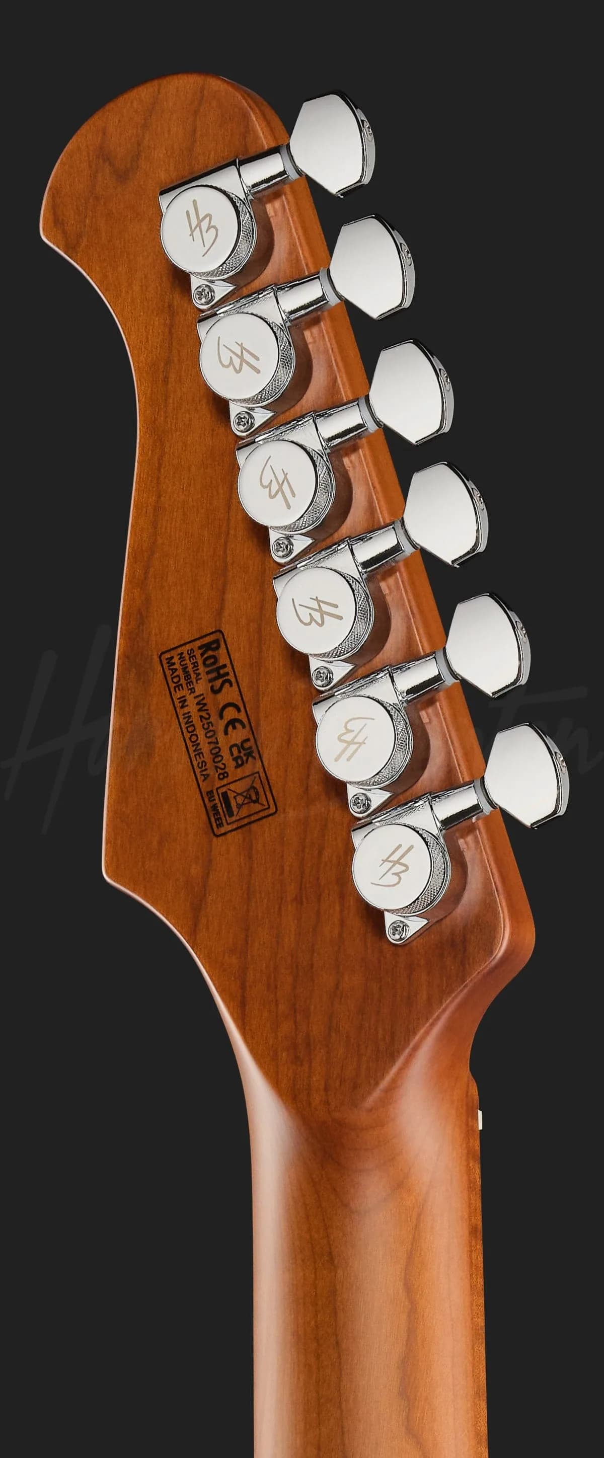 Harley Benton Fusion-IV HSS MN SGR — photo 7